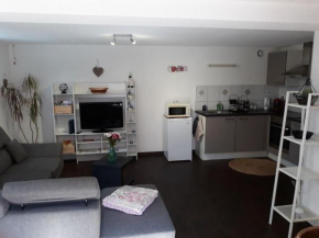 Appartement F2 de 50m2 à 5min de Colmar